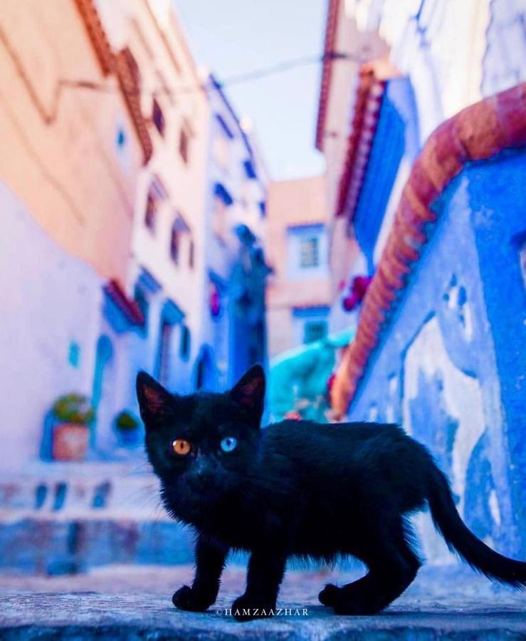 Mesk Elil Hotel Chefchaouen Ngoại thất bức ảnh